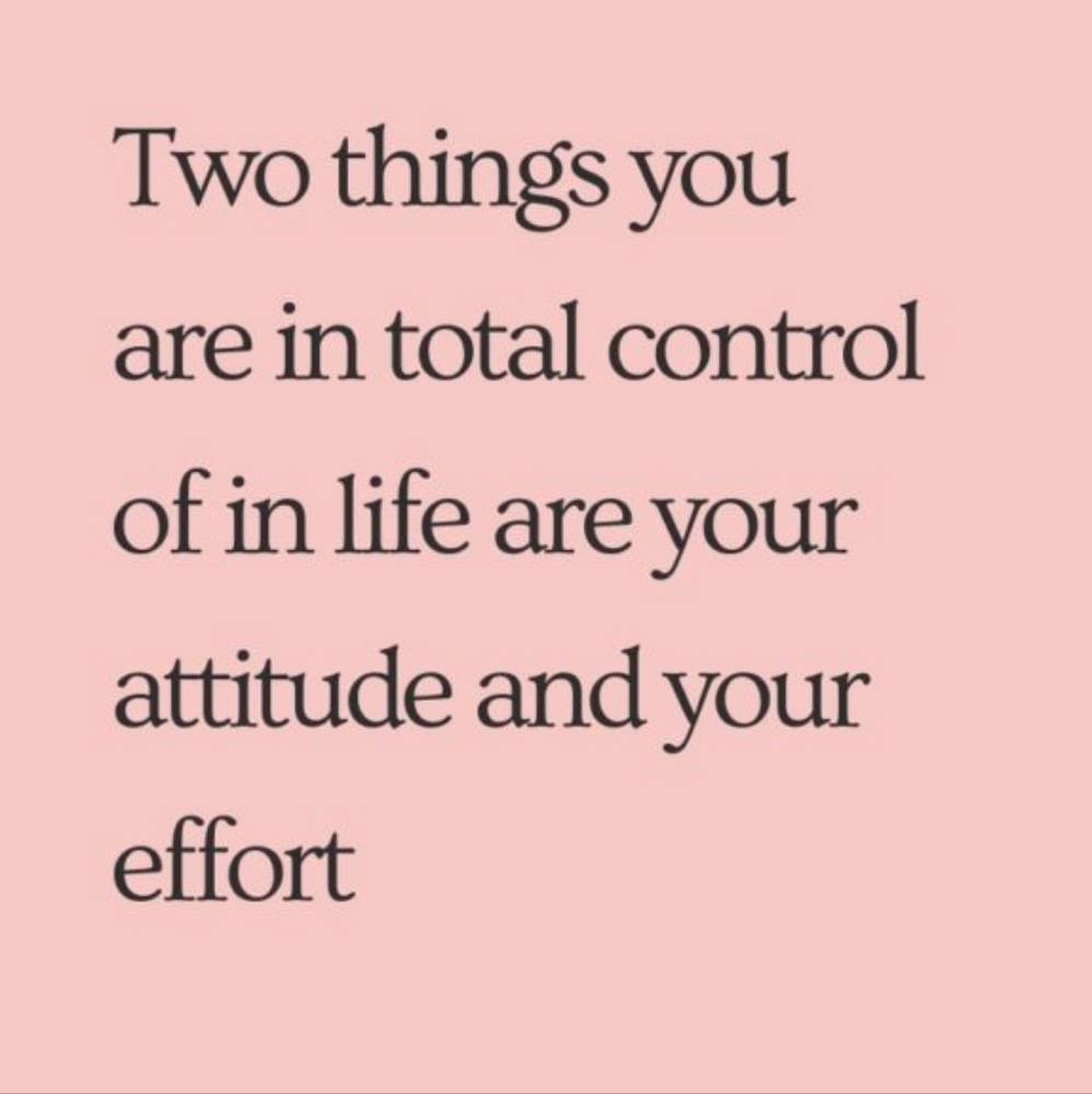 🌻 - Picture 2 of 4